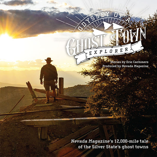 Ghost Town Book image 0