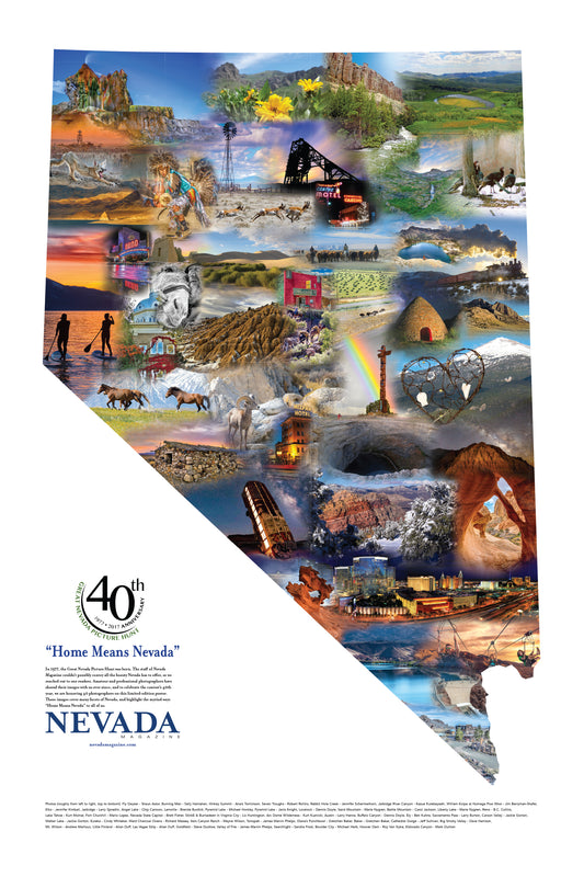 Limited Edition Poster - Free shipping!