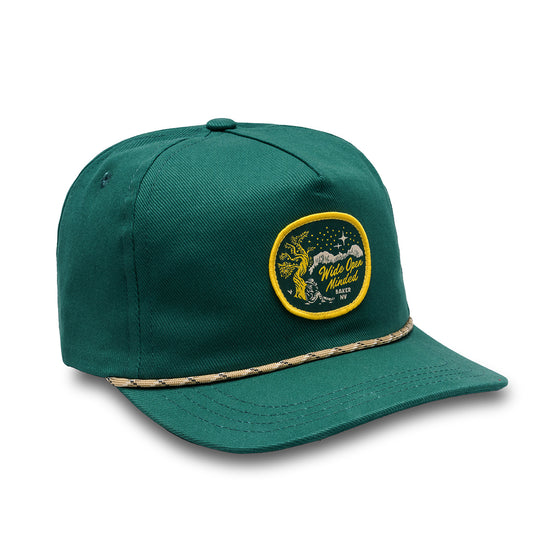 Baker 5 Panel