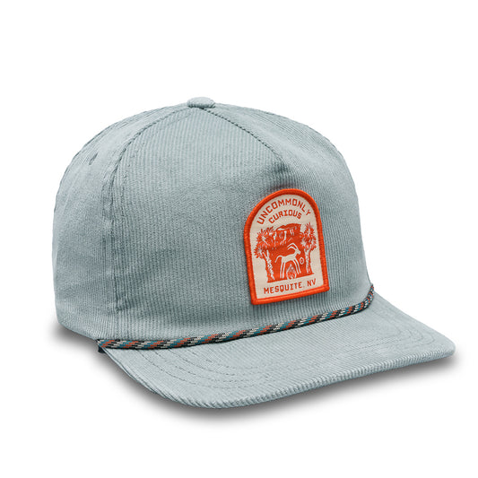 Mesquite 5 Panel