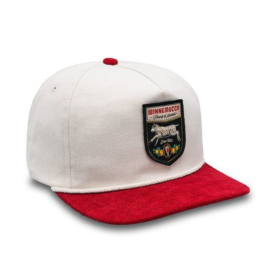 Winnemucca 5 Panel